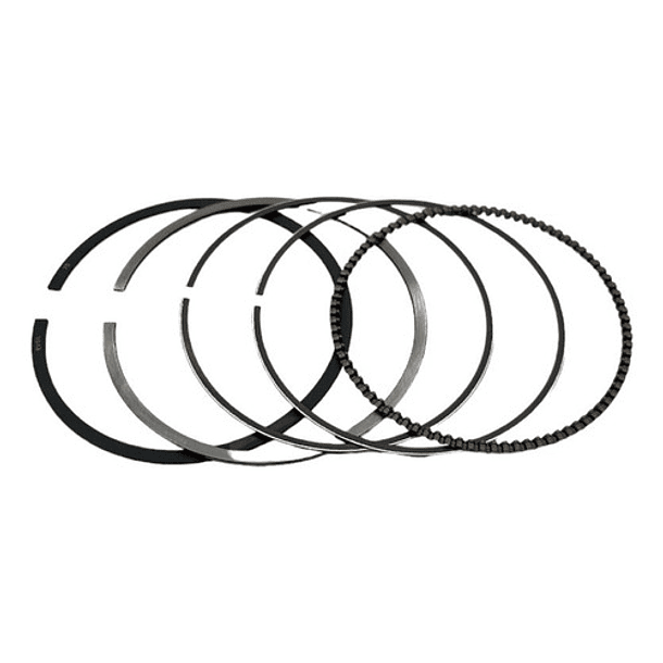 anillos tvs100 sport std evol 4