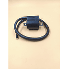 bobina de alta ax100-fr80-100-ts125 evol 3