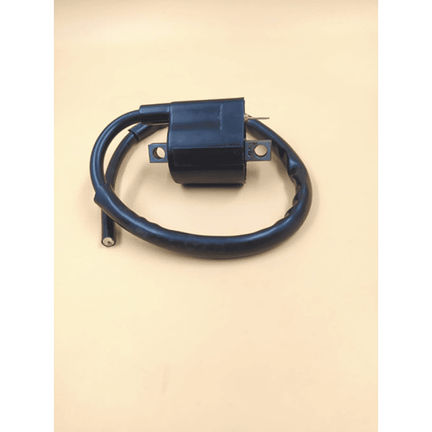 bobina de alta ax100-fr80-100-ts125 evol 3