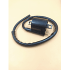 bobina de alta ax100-fr80-100-ts125 evol 4