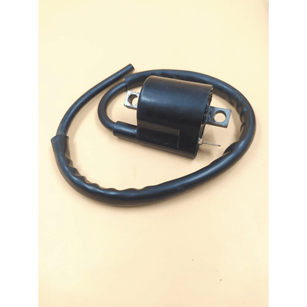 bobina de alta ax100-fr80-100-ts125 evol 4