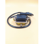 bobina de alta eco 100 evol 3