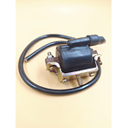 bobina de alta eco 100 evol 2