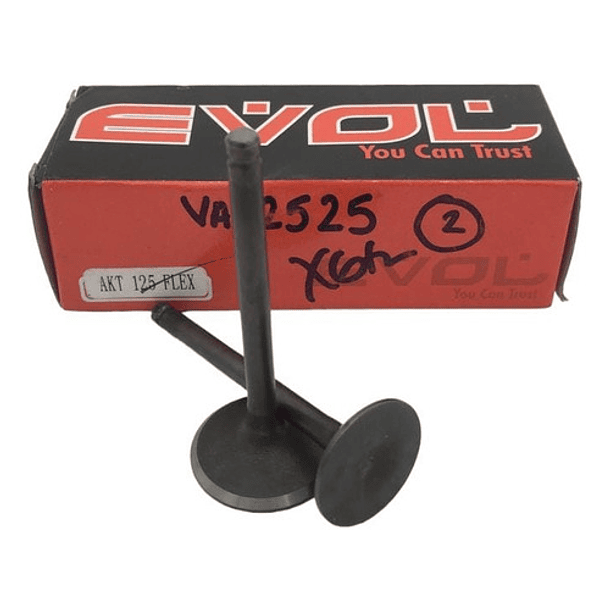 valvulas akt125 flex evol 1