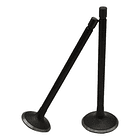 valvulas akt150evo/tt/sigma coronita + 1