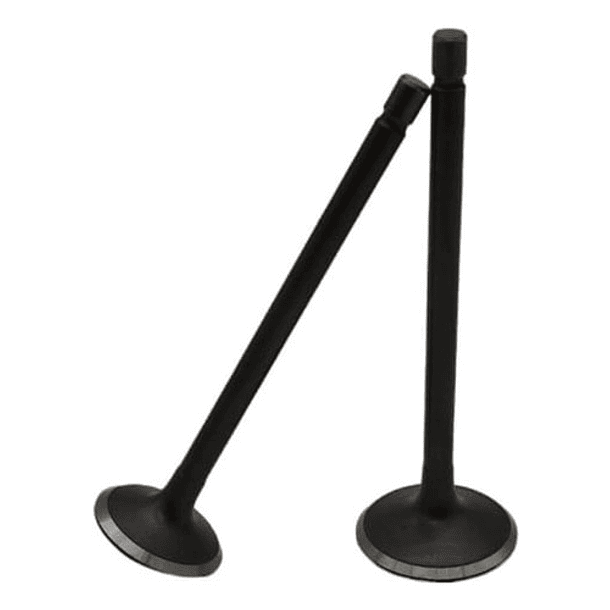 valvulas akt150evo/tt/sigma coronita + 1