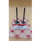 valvulas akt150evo/tt/sigma coronita + 2