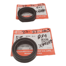 retenedor telescopico ax4-nkd 27-37-10.5 original