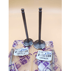 valvulas dr200 escape tkrj 2