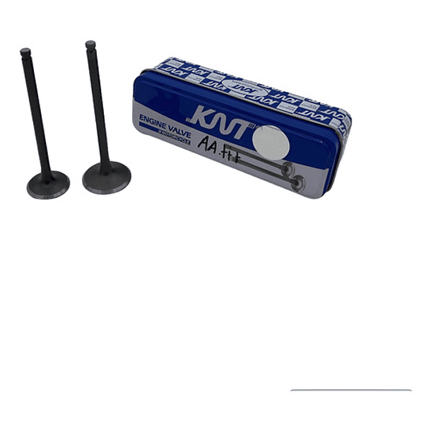 valvulas nmax 155 admision tkrj 1