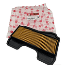 filtro de aire cripton 115 coronita 1