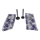 valvulas ybr125-libero125-xtz125 admision tkrj 1