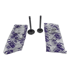 valvulas ybr125-libero125-xtz125 admision tkrj