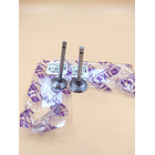 valvulas ybr125-libero125-xtz125 admision tkrj 2