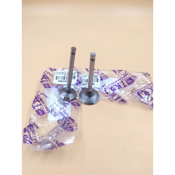 valvulas ybr125-libero125-xtz125 admision tkrj 2