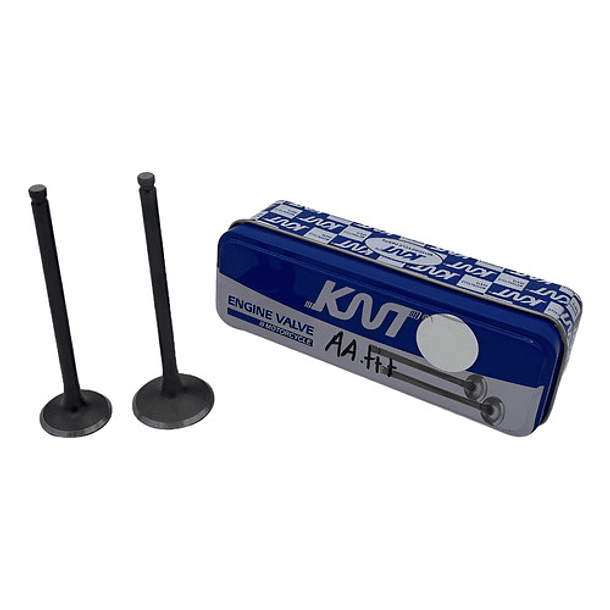 valvulas cbf125-xr125 brio knt 1