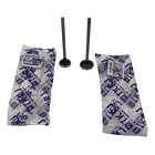 valvulas discover 125st-150st admision tkrj 1