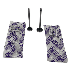 valvulas discover 125st-150st admision tkrj