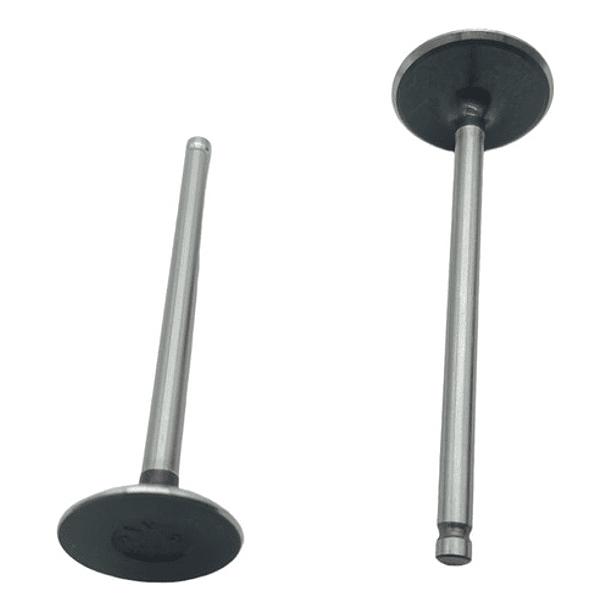 valvulas gixxer150 escape tkrj + 4