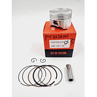 kit piston cbf125 10 evol 3