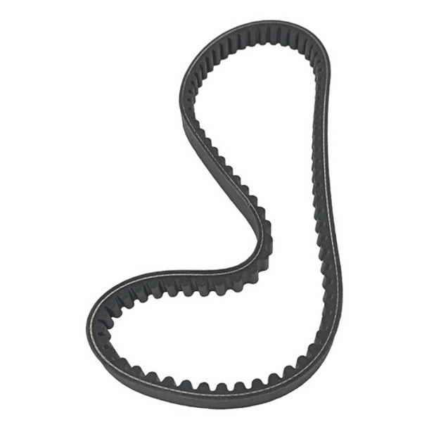 correa de scooter 150 coronita 3