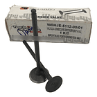 valvulas discover 125st-150st wstandar 1