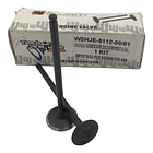 valvulas discover 125st-150st wstandar 2