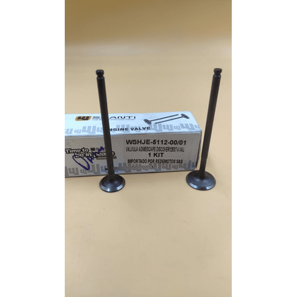 valvulas discover 125st-150st wstandar 3