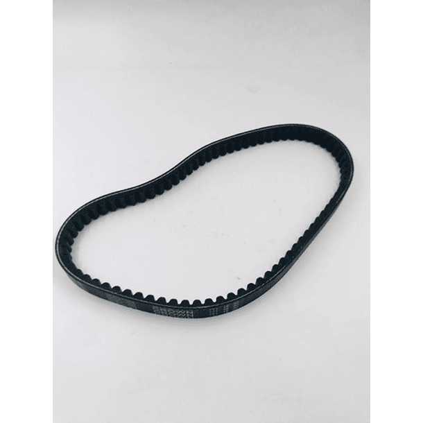 correa de bws100 coronita 2