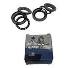 pistas de direcion ax4 riffel 1