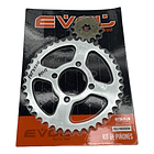 plato piñon boxer ct-platino 100 evol 1