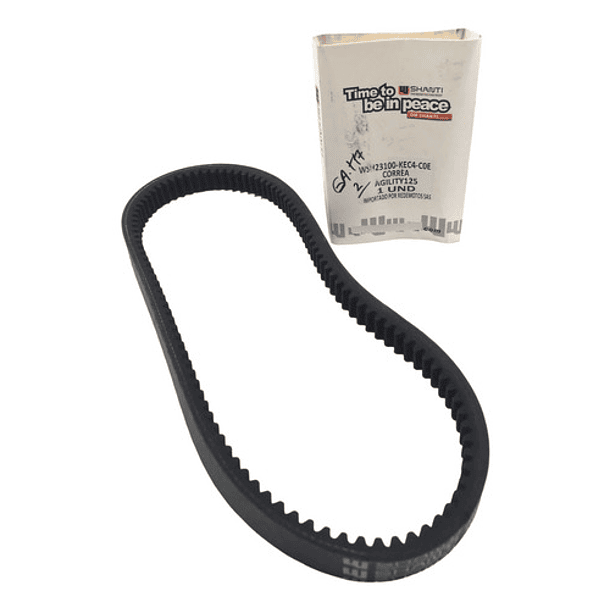 correa de agility 125 shanti 3