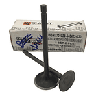 valvulas akt150evo/tt/sigma shanti 1