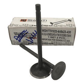 valvulas akt150evo/tt/sigma shanti