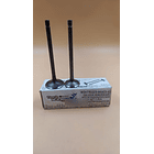 valvulas akt150evo/tt/sigma shanti 3