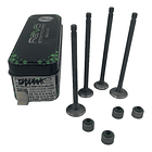 valvulas discover 100m-110-platino 110 revo 1