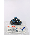 dados de bws125 original 4