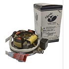 plato bobinas boxer ct varroc 1