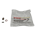 aguja y base de carburador rx115-v80-dt100 original 4