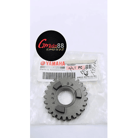 piñon de caja dt125 6 original