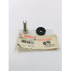 racor dt incolmotos 4