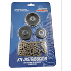 kit cadenilla akt110 original 2