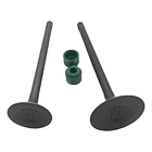 valvulas akt150evo/tt/sigma con sellos original 3