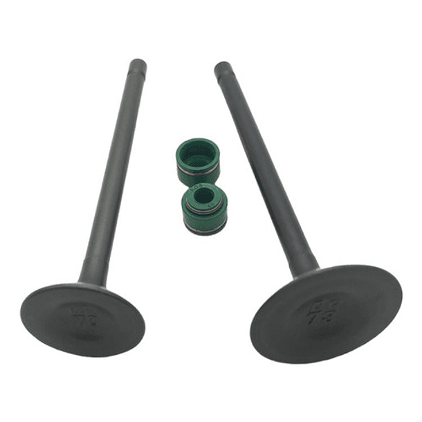 valvulas akt150evo/tt/sigma con sellos original 3