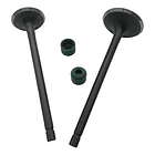 valvulas akt150evo/tt/sigma con sellos original 4