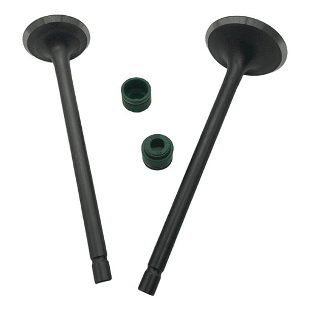 valvulas akt150evo/tt/sigma con sellos original 4