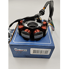 plato bobinas akt125 nkd todas cgr rp akt 2