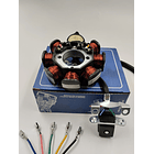 plato bobinas akt125 nkd todas cgr rp akt 3