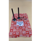 valvulas boxer ct-platino 100 keyman 4