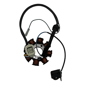 plato bobinas klx150-wind125 syk